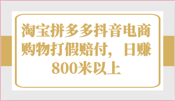 淘宝拼多多抖音电商购物打假赔付，日赚800米以上-生财有道