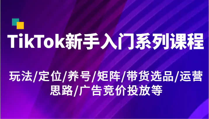 TikTok新手入门系列课程，玩法/定位/养号/矩阵/带货选品/运营思路/广告竞价投放等-生财有道