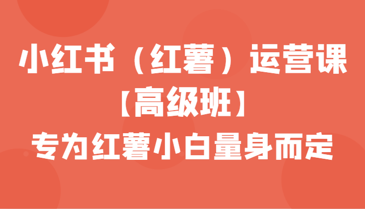 小红书（红薯）运营课【高级班】，专为红薯小白量身而定（42节课）-生财有道