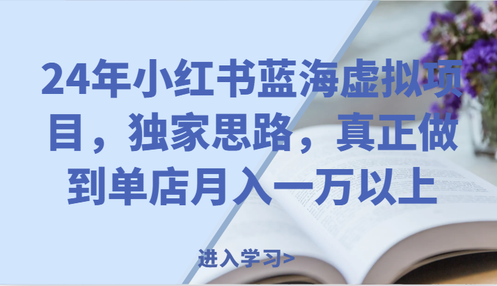 24年小红书蓝海虚拟项目，独家思路，真正做到单店月入一万以上。-生财有道