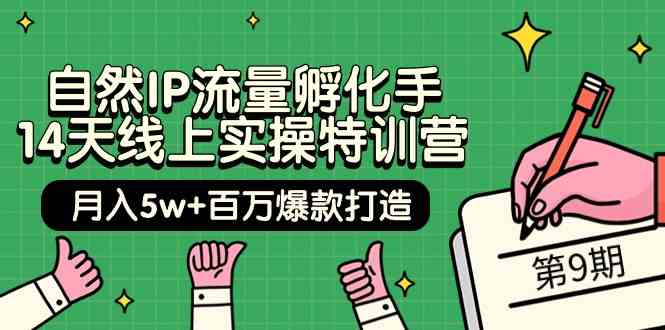 自然IP流量孵化手14天线上实操特训营【第9期】月入5w+百万爆款打造 (74节)-生财有道