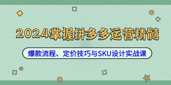 （12703期）2024掌握拼多多运营精髓：爆款流程、定价技巧与SKU设计实战课_生财有道创业网-生财有道