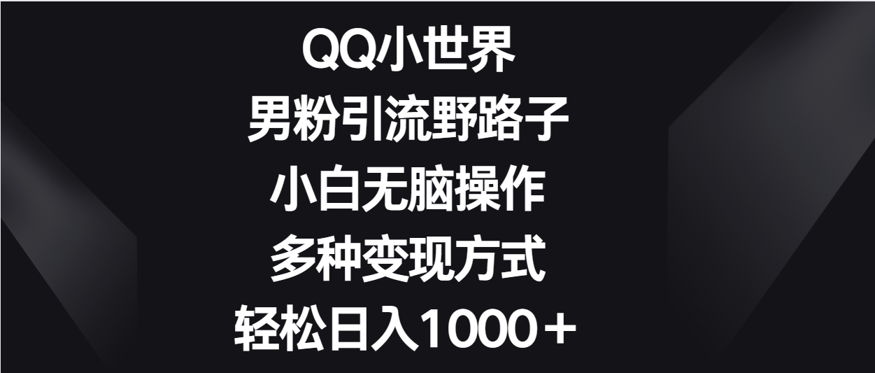 QQ小世界男粉引流野路子，小白无脑操作，多种变现方式轻松日入1000＋-生财有道
