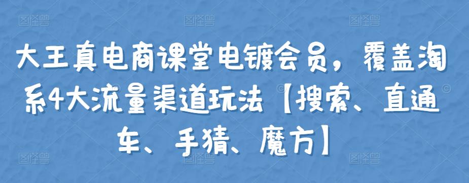 大王真电商课堂电镀会员，覆盖淘系4大流量渠道玩法【搜索、直通车、手猜、魔方】-生财有道