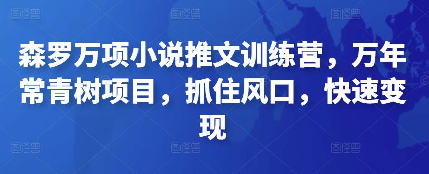 森罗万项小说推文训练营，万年常青树项目，抓住风口，快速变现-生财有道