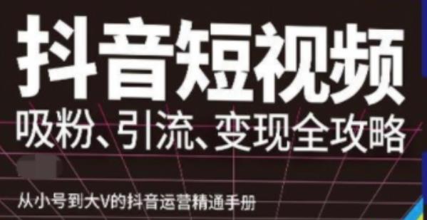 抖音视频号高级实操与理论课程：吸粉、引流、变现全攻略，从小号到大V的抖音运营精通手册-生财有道