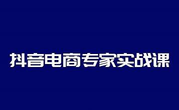 抖音电商专家实战课，你上你也行-人人能做的卖货达人-生财有道