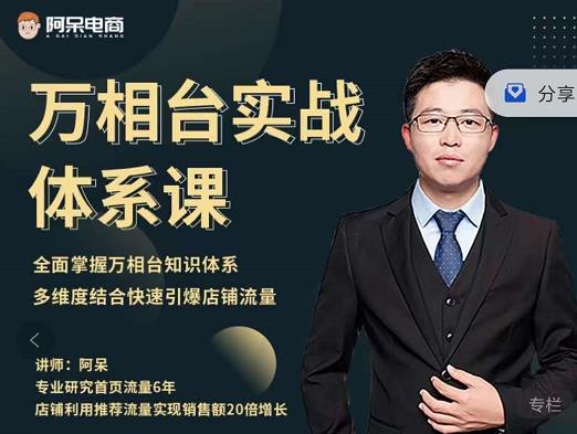 阿呆-万相台实战体系课，帮您全面掌握万相台知识体系-生财有道