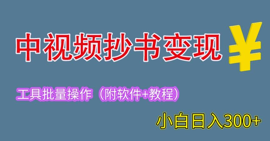 2023中视频抄书变现（附工具+教程），一天300+，特别适合新手操作的副业（揭秘）-生财有道