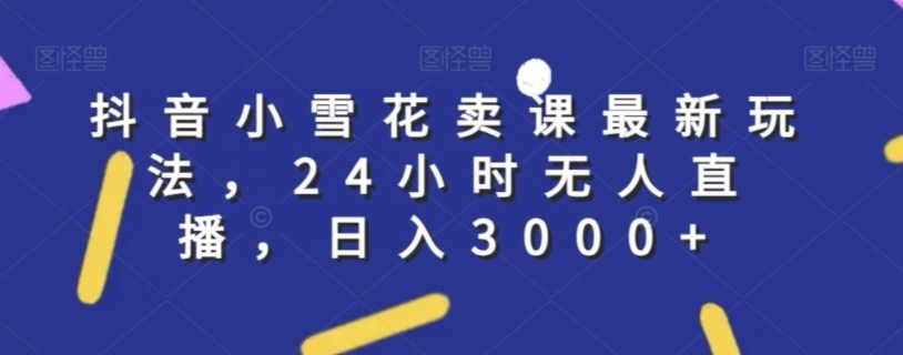 抖音小雪花卖课最新玩法，24小时无人直播，日入3000+【揭秘】-生财有道