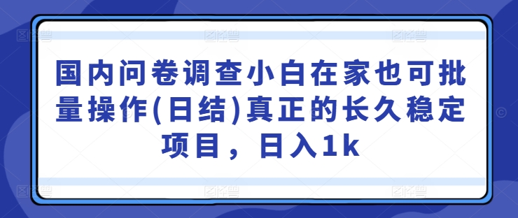 国内问卷调查小白在家也可批量操作(日结)真正的长久稳定项目，日入1k【揭秘】——生财有道创业网-生财有道