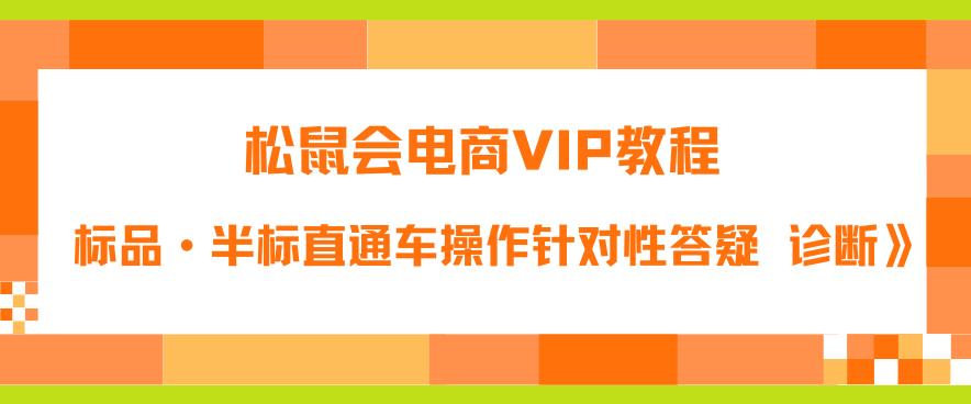 松鼠会电商VIP教程：松鼠《付费推广标品·半标直通车操作针对性答疑&诊断》-生财有道