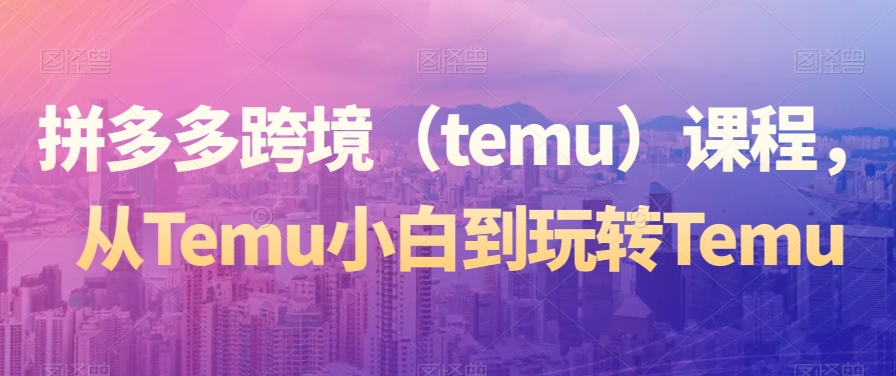 拼多多跨境（temu）课程，从Temu小白到玩转Temu-生财有道