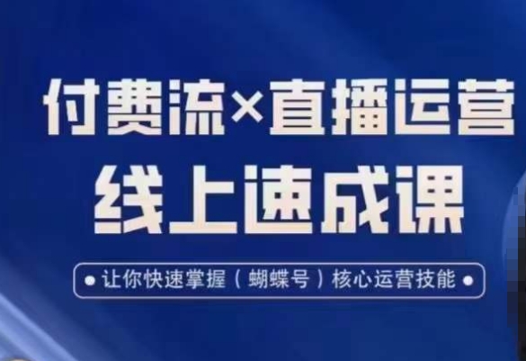 视频号付费流实操课程，付费流✖️直播运营速成课，让你快速掌握视频号核心运营技能-生财有道