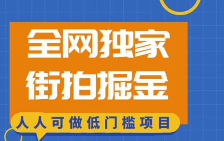 全网独家一街拍掘金，低门槛人人可做的赚钱项目【揭秘】-生财有道