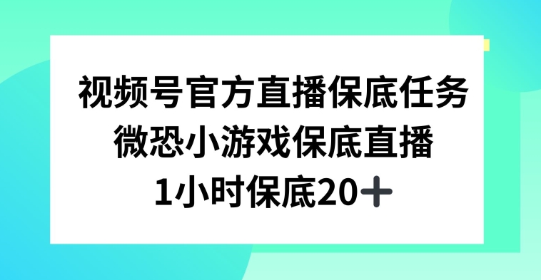 视频号直播任务，微恐小游戏，1小时20+【揭秘】-生财有道