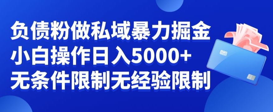 负债粉私域暴力掘金，小白操作入5000，无经验限制，无条件限制【揭秘】-生财有道