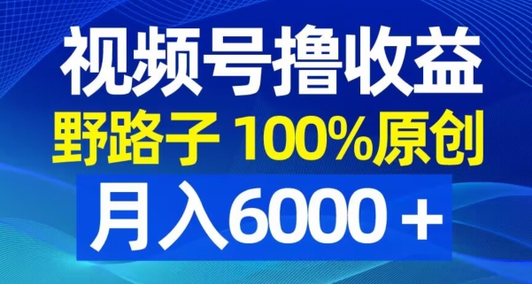 视频号野路子撸收益，100%原创，条条爆款，月入6000＋【揭秘】-生财有道