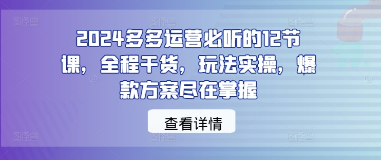 2024多多运营必听的12节课，全程干货，玩法实操，爆款方案尽在掌握——生财有道创业网-生财有道