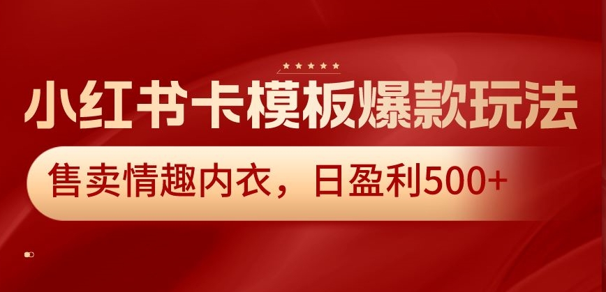 小红书卡模板爆款玩法，售卖情趣内衣，日盈利500+【揭秘】-生财有道