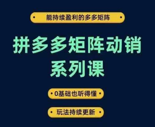 拼多多矩阵动销系列课，能持续盈利的多多矩阵，0基础也听得懂，玩法持续更新——生财有道创业网-生财有道