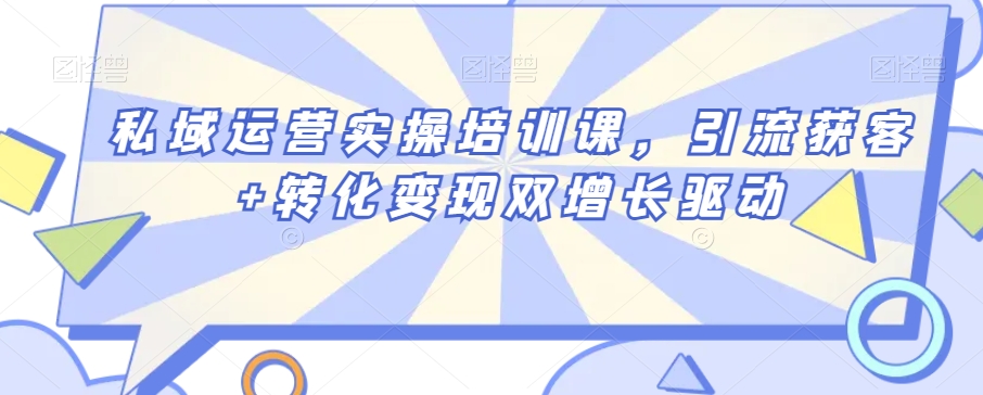 私域运营实操培训课，引流获客+转化变现双增长驱动-生财有道