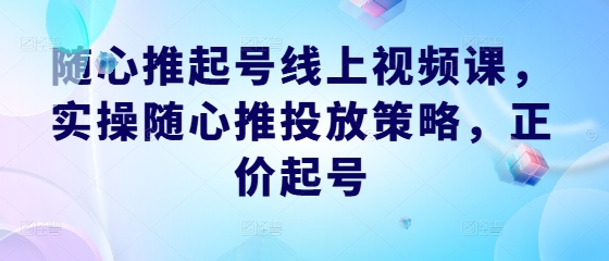 随心推起号线上视频课，实操随心推投放策略，正价起号——生财有道创业网-生财有道