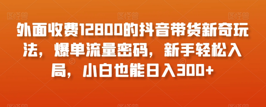 外面收费12800的抖音带货新奇玩法，爆单流量密码，新手轻松入局，小白也能日入300+【揭秘】-生财有道