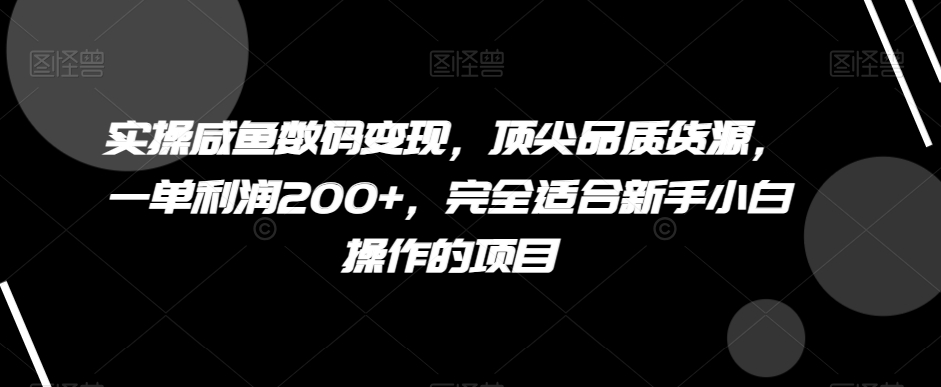 实操咸鱼数码变现，顶尖品质货源，一单利润200+，完全适合新手小白操作的项目【揭秘】-生财有道