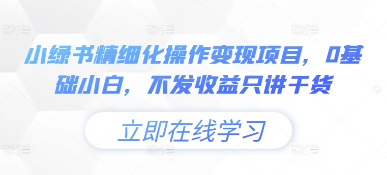 小绿书精细化操作变现项目，0基础小白，不发收益只讲干货——生财有道创业项目网-生财有道