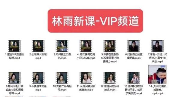 林雨新课VIP频道，玩赚私域/朋友圈/社群-生财有道