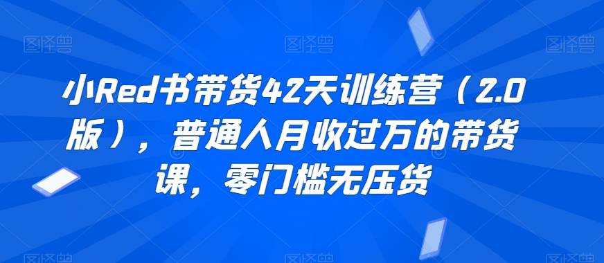 小Red书带货42天训练营（2.0版），普通人月收过万的带货课，零门槛无压货-生财有道