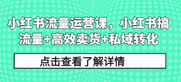 小红书流量运营课，小红书搞流量+高效卖货+私域转化——生财有道创业网-生财有道