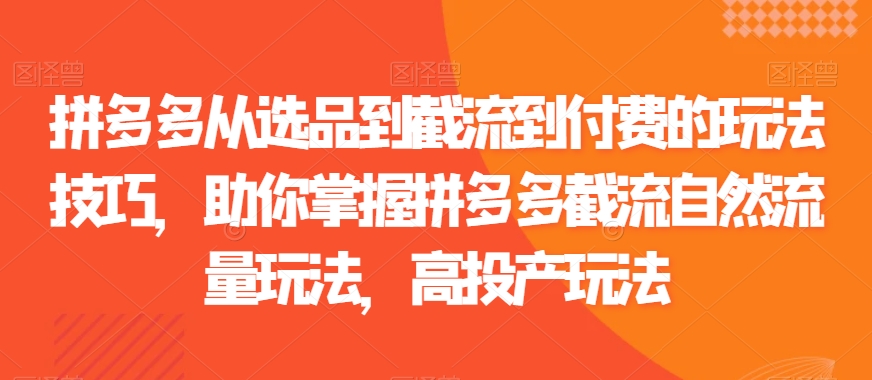 拼多多从选品到截流到付费的玩法技巧，助你掌握拼多多截流自然流量玩法，高投产玩法-生财有道