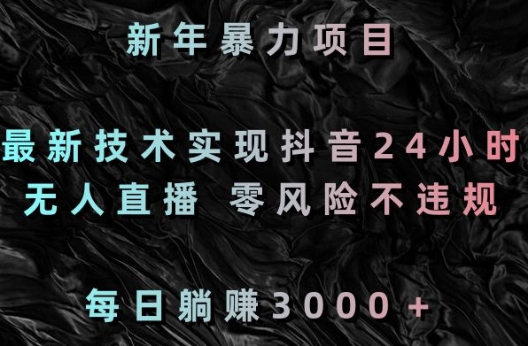 新年暴力项目，最新技术实现抖音24小时无人直播，零风险不违规，每日躺赚3000＋【揭秘】-生财有道