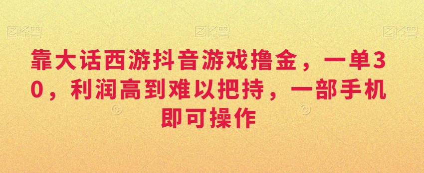 靠大话西游抖音游戏撸金，一单30，利润高到难以把持，一部手机即可操作，日入3000+【揭秘】-生财有道