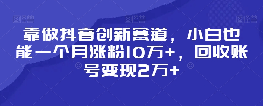 靠做抖音创新赛道，小白也能一个月涨粉10万+，回收账号变现2万+【揭秘】-生财有道