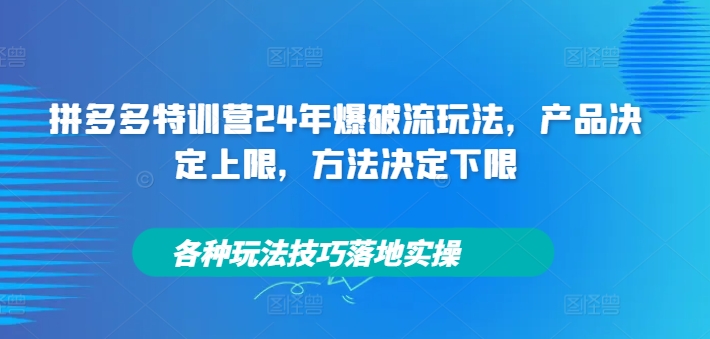 拼多多特训营24年爆破流玩法，产品决定上限，方法决定下限，各种玩法技巧落地实操——生财有道创业网-生财有道