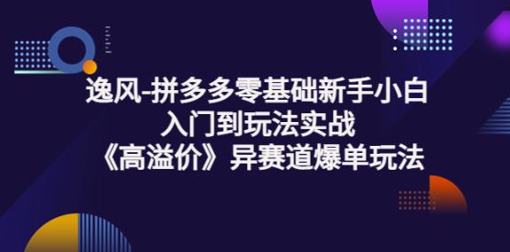 逸风-拼多多零基础新手小白入门到玩法实战《高溢价》异赛道爆单玩法实操课-生财有道