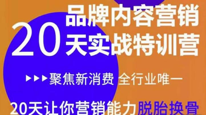 《内容营销实操特训营》20天让你营销能力脱胎换骨（价值3999）-生财有道