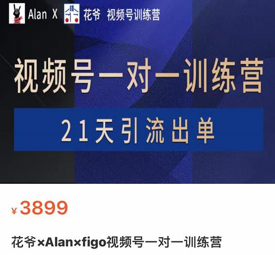 花爷×Alan×figo视频号训练营，带货，涨粉，直播，游戏，四大变现新方向，21天引流出单-生财有道