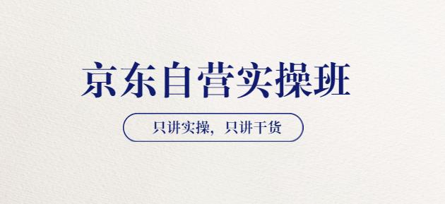 【京东自营实操班】只讲实操，只讲干货（28小时课程-共2期）价值4980-生财有道