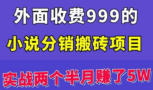 外面收费999的小说分销搬砖项目：实战两个半月赚了5W块，操作简单！-生财有道