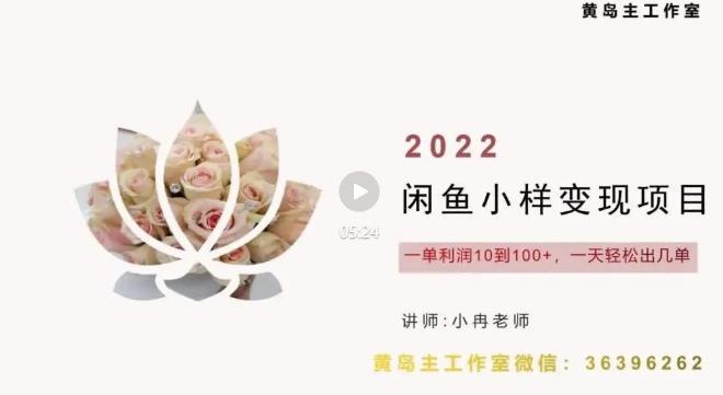 黄岛主最新企业彩铃项目+闲鱼小样项目，利润每天200+轻轻松松，纯视频拆解玩法-生财有道