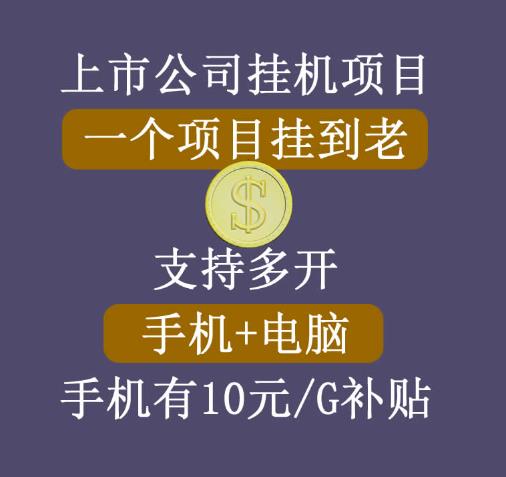 【上市公司】睿思挂机项目，一个项目挂到老，支持手机+电脑+虚拟机多开-生财有道