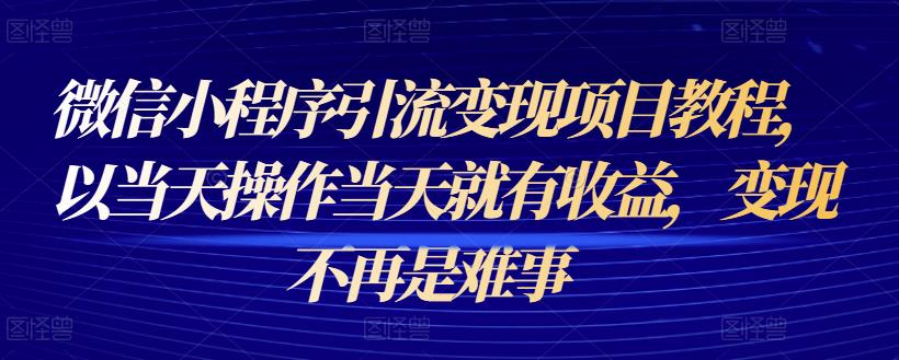 微信小程序引流变现项目教程，以当天操作当天就有收益，变现不再是难事-生财有道