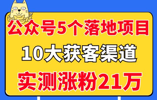 公众号5个月入过万的落地项目，10大获客渠道，实测涨粉21万！-生财有道