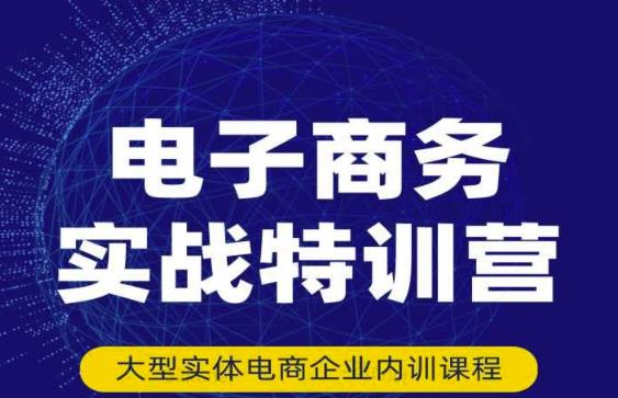 民赛电气内部出品：电子商务实战特训营，全方位带你入门电商，308种方式玩转电商-生财有道