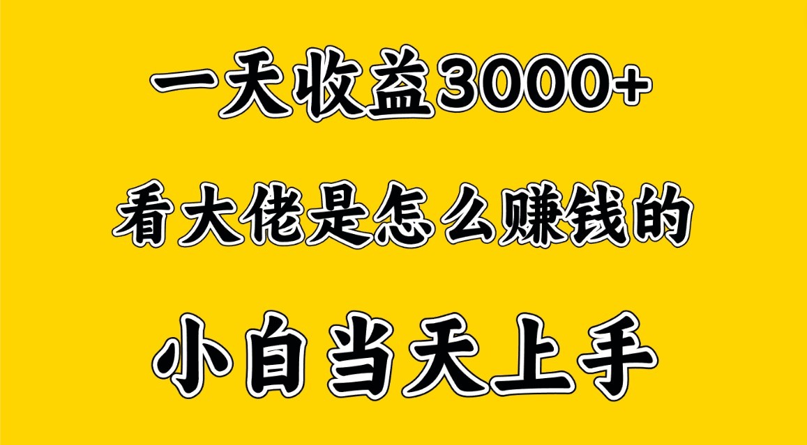 一天赚3000多，大佬是这样赚到钱的，小白当天上手，穷人翻身项目-生财有道