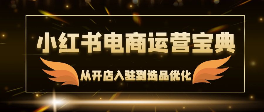 （12497期）小红书电商运营宝典：从开店入驻到选品优化，一站式解决你的电商难题_生财有道创业网-生财有道